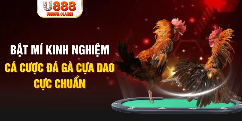 tr88 bet trong baccarat, ai là người chia bài chính？