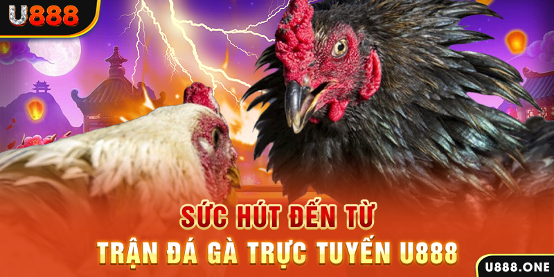 tr88 bet hòn gà chọi