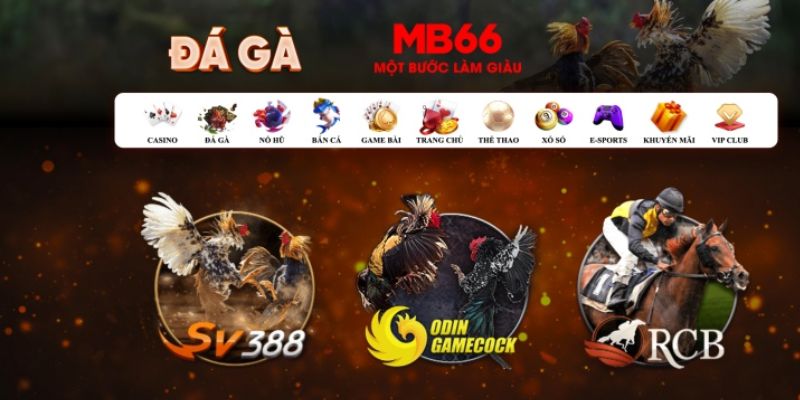 tr88 bet Bài Poker Hoàn Toàn Mỹ