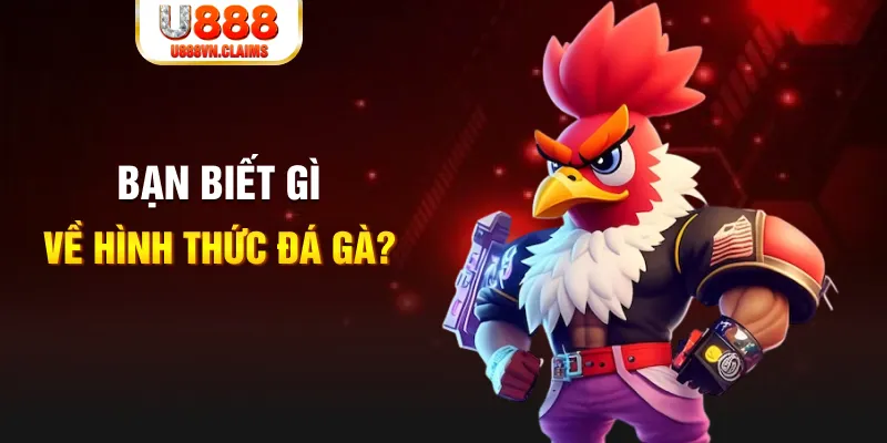 tr88 bet đăng nhập mậu binh dễ thắng