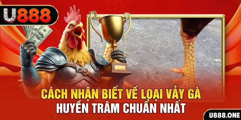 tr88 bet Chú hề Patty tuổi teen