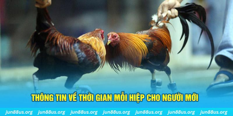 tr88 bet Long Hổ 2