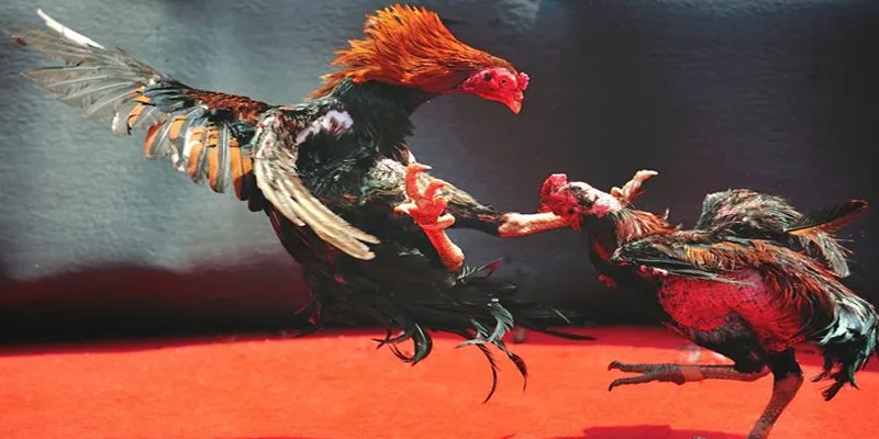 tr88 bet đăng nhập nổ hũ số 1