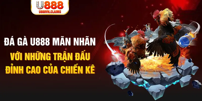 tr88 bet kết quả xổ số miền bắc ngày hôm nay