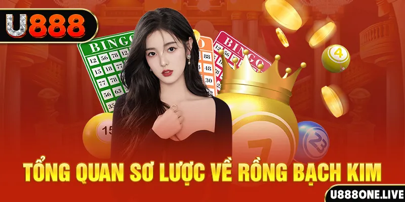 tr88 bet máy bay cá cược