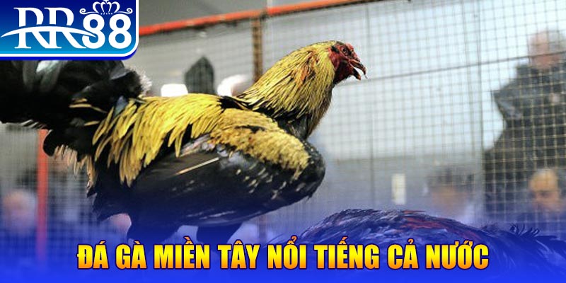 tr88 bet đăng nhập liêng miễn phí