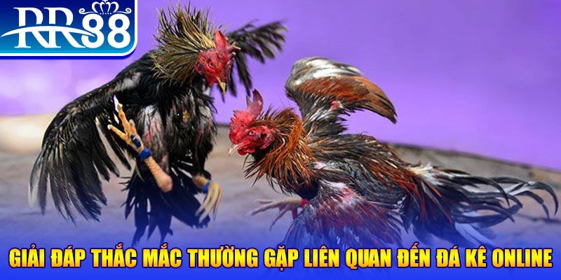 tr88 bet đăng nhập phỏm tặng tiền