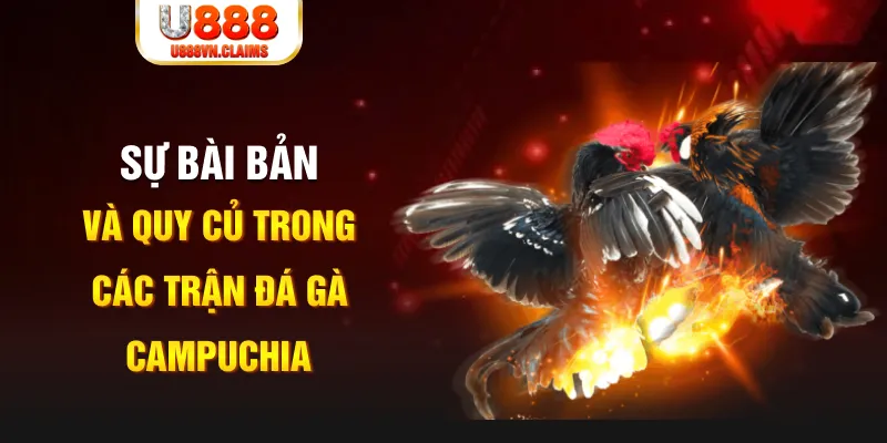 tr88 bet baccarat lừa đảo như thế nào
