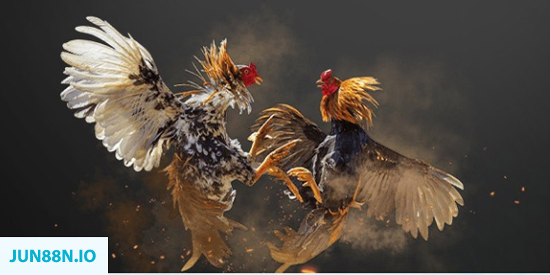 tr88 bet đăng nhập sòng bạc miễn phí