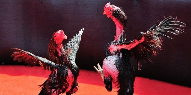 tr88 bet Spribe Điện Tử