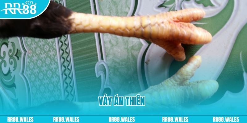 tr88 bet who wants to be a millionaire slot