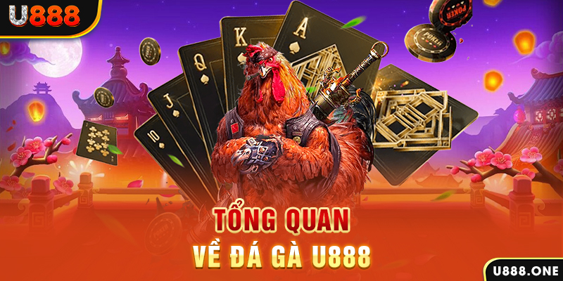 tr88 bet baccarat có lừa đảo không