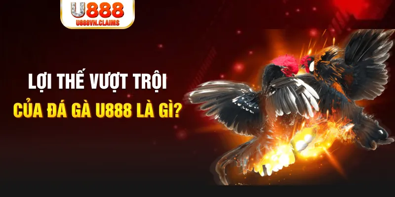 tr88 bet 888 slot là gì